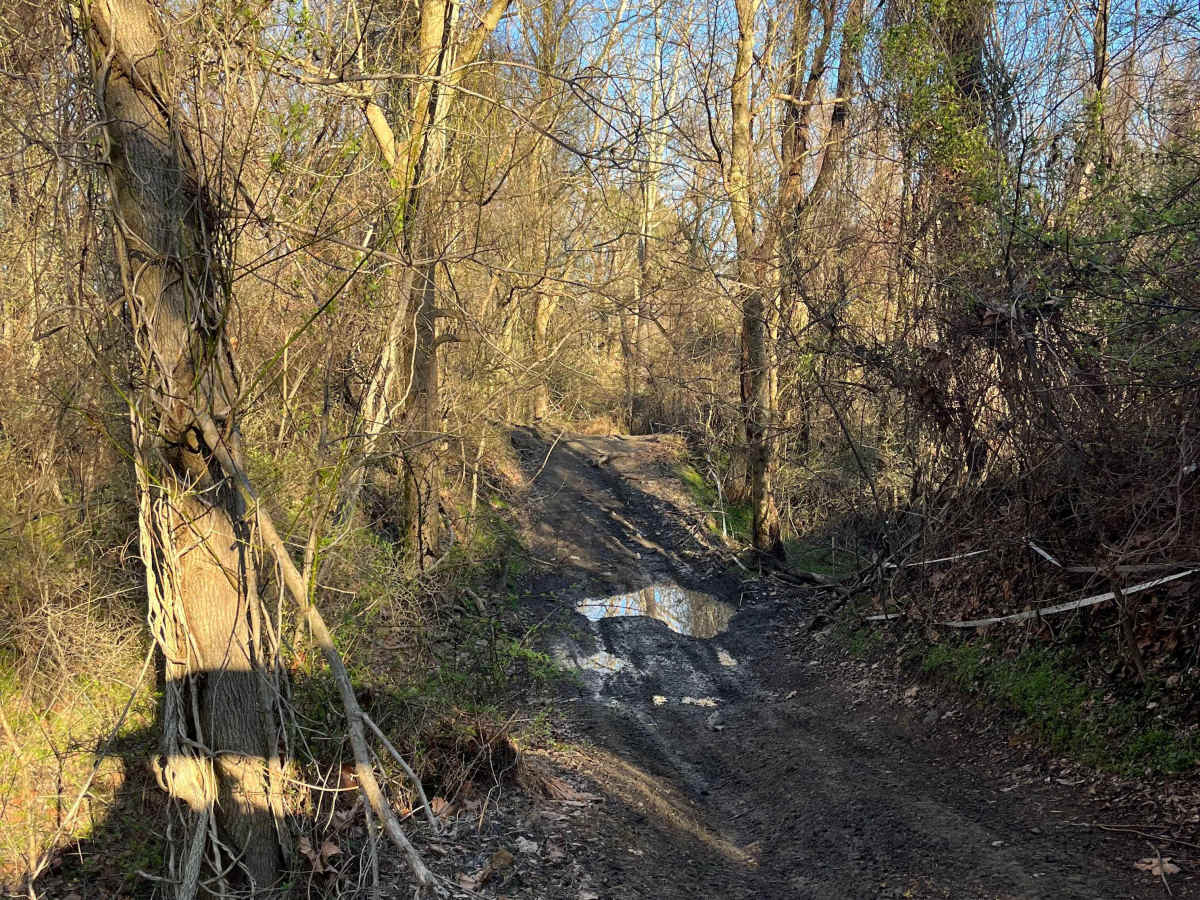 South Boundary Trail photo 4