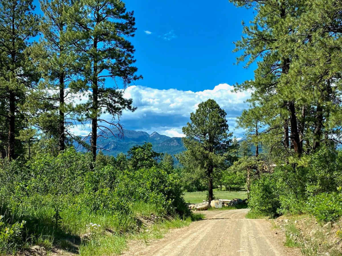 Fawn Gulch F-Fr Rd 666F trail photo