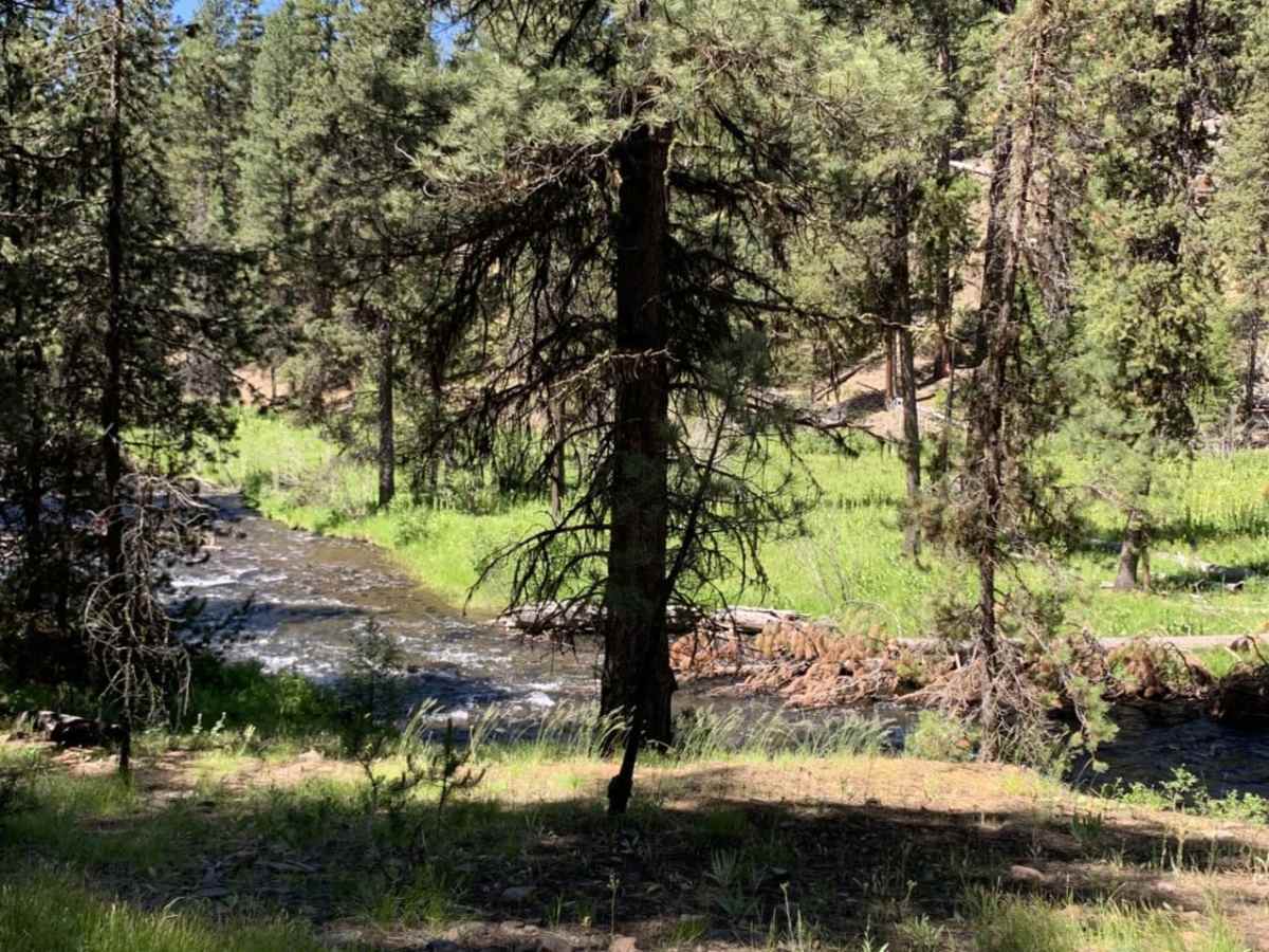 NFDR1675 Crane Creek CG photo 3