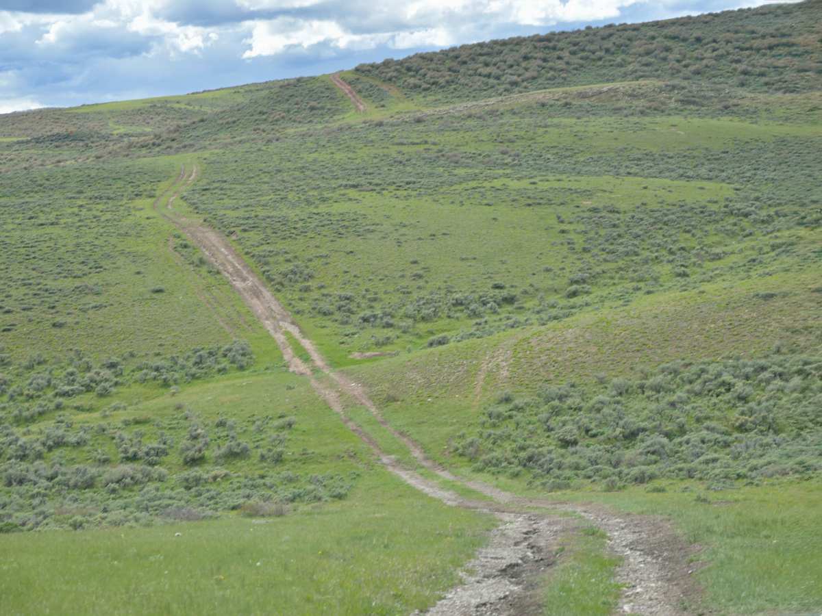 Bull Spring - FS 10578 trail photo