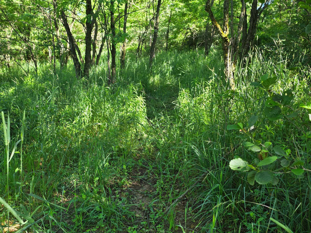 Single Track J2 photo 6