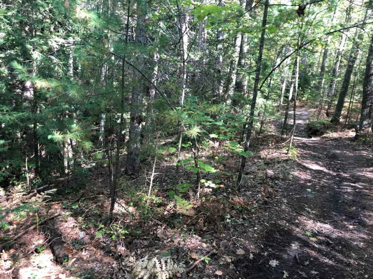 Black Lake North Loop photo 4