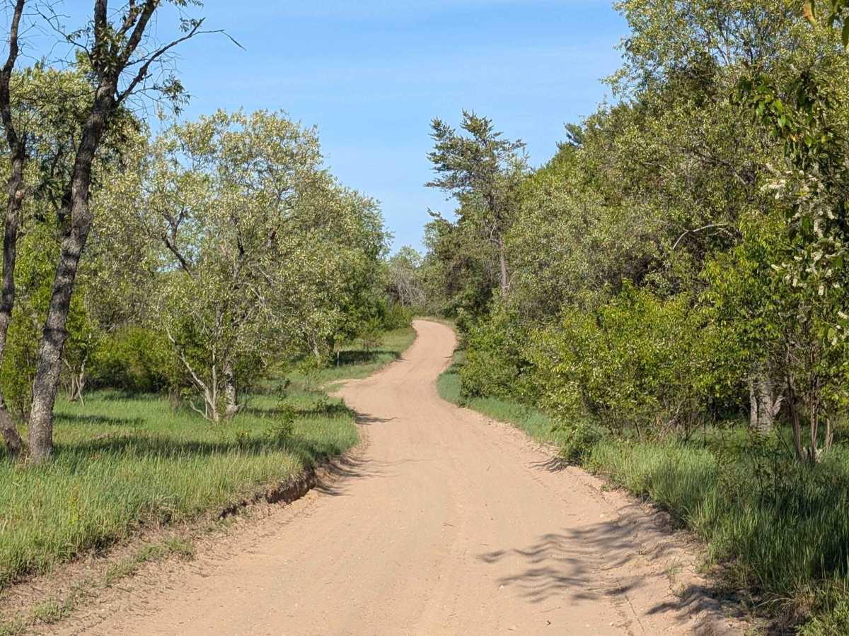 Trail 4655 photo 4