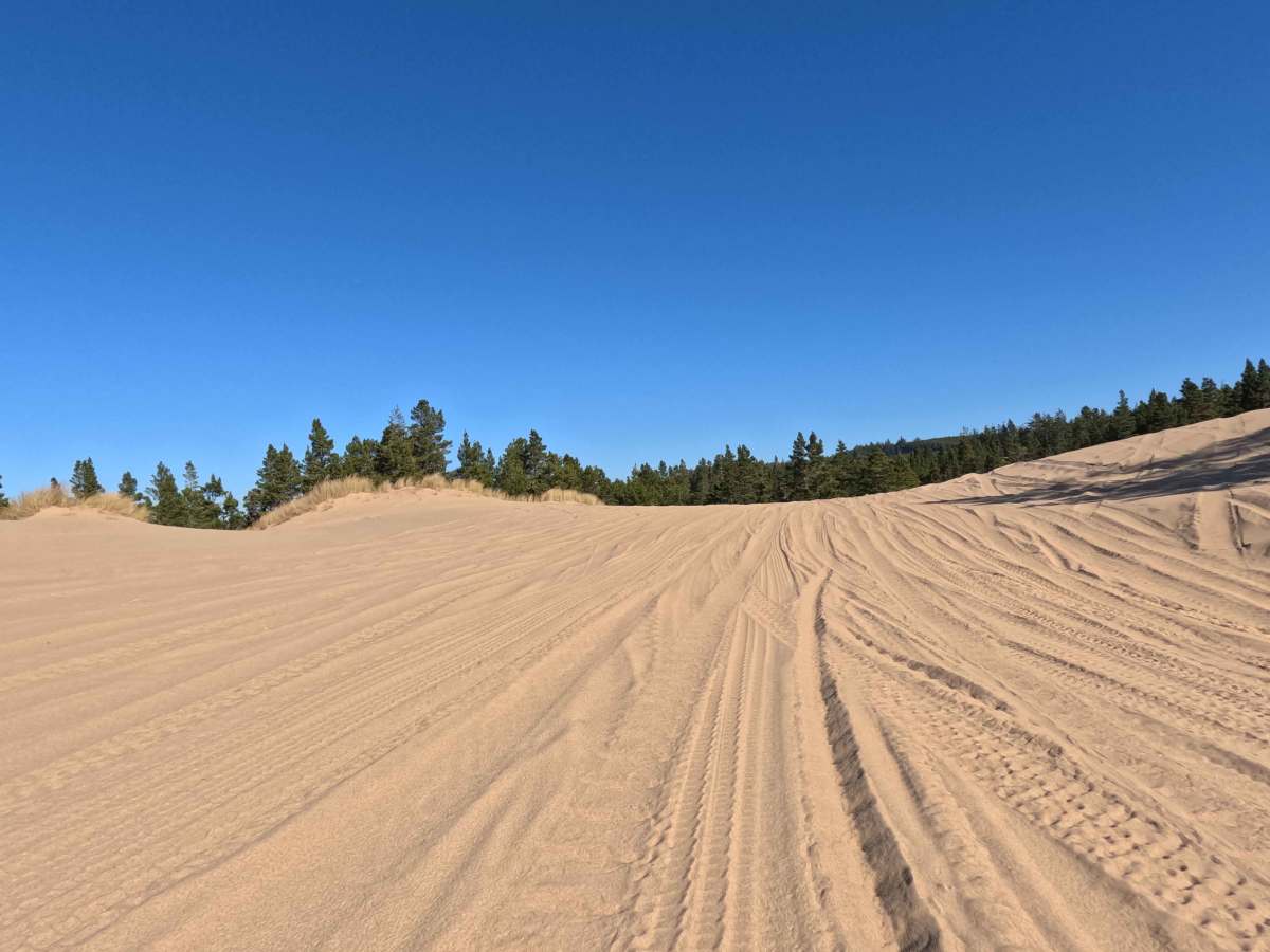 Bark OHV Trail - 1342 photo 5