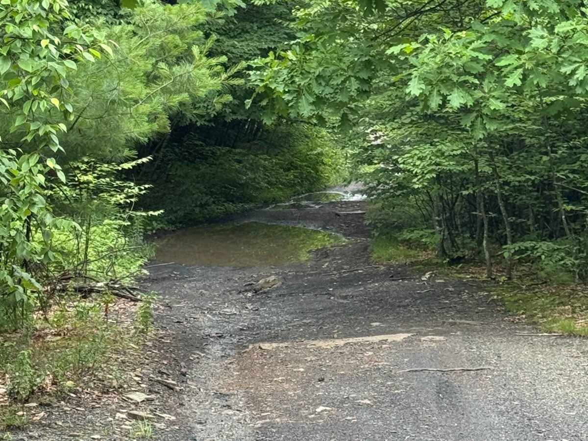 Trail 14 photo 6