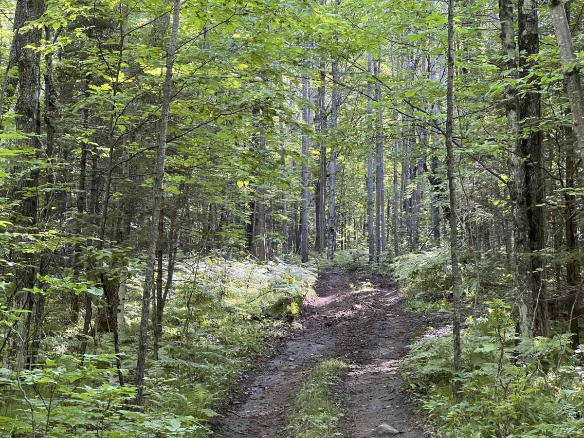 Forest County ATV/ SxS Area Hill Climb Access photo 3