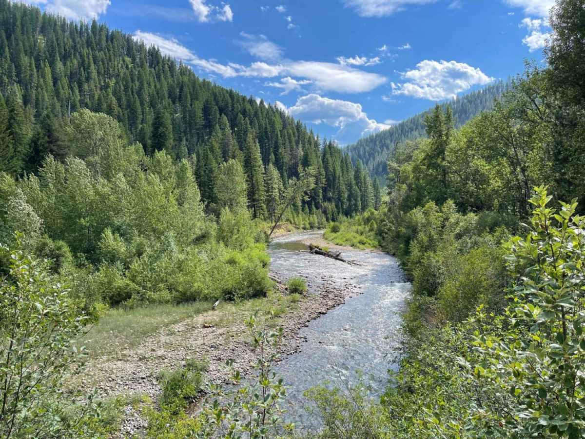 West Fork Fish Creek photo 2