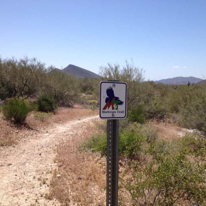 Near Maricopa Regional Trail: Spur Cross to Cave Creek Park
