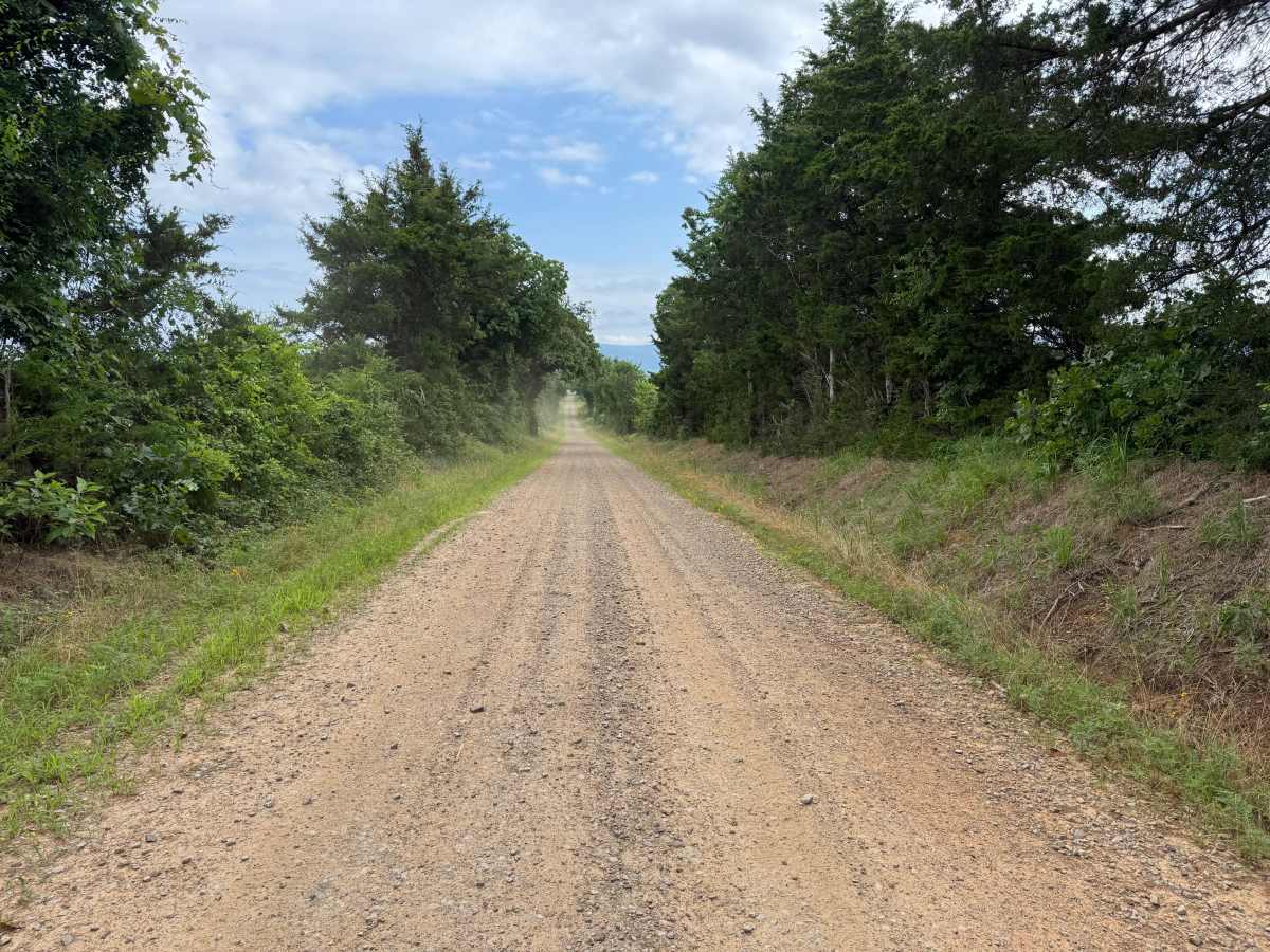 County Road 3491 photo 3