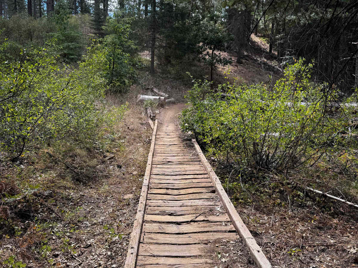 Loop 2 photo 3