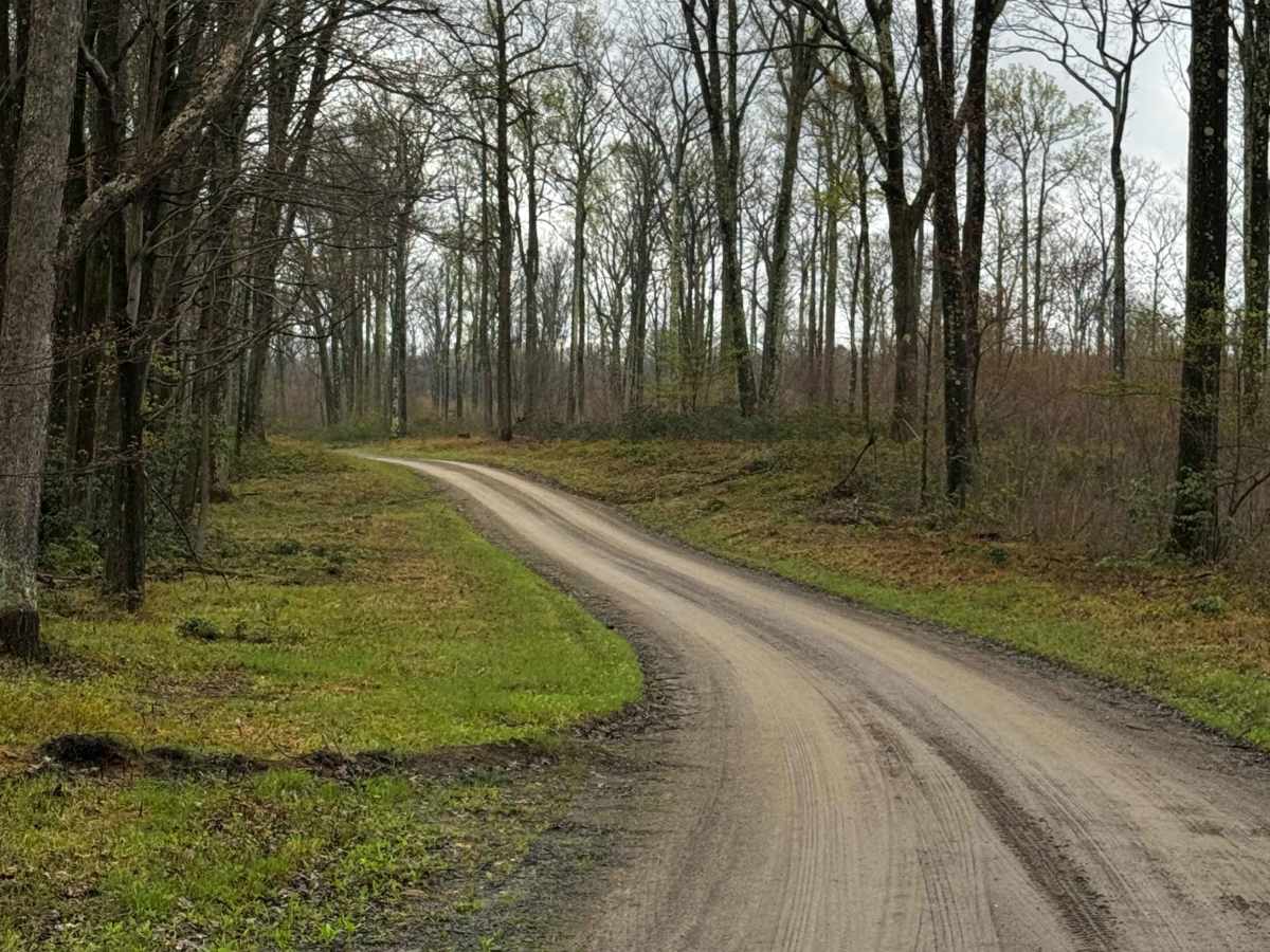 Kelly Cellar Road photo 6