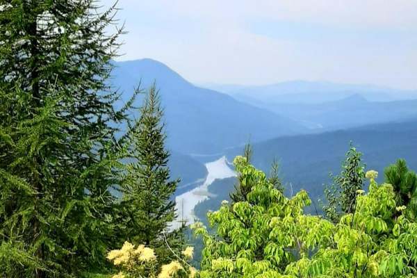Salmon Creek T4800