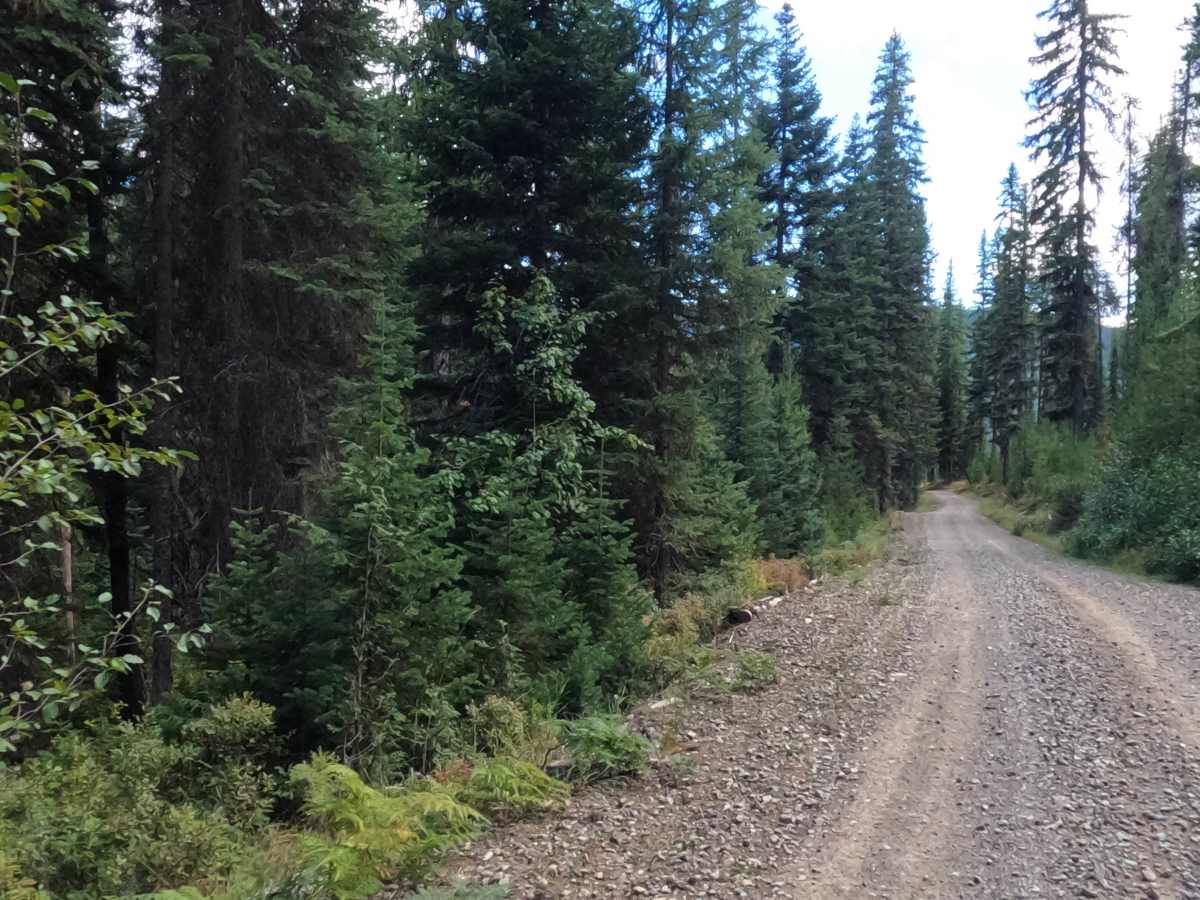 West Tower - FS 7759 trail photo
