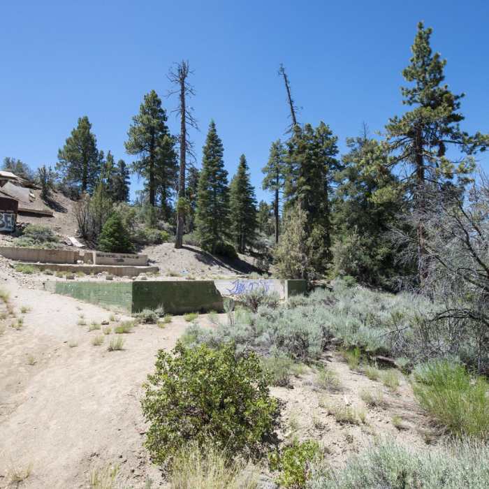 Near Cougar Crest Trail