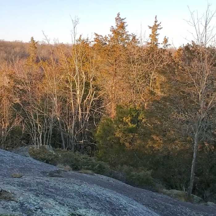 Near Marble Rock Loop