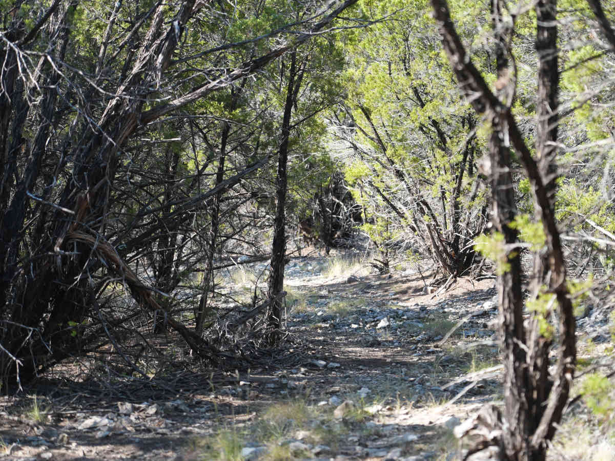 Blue 13 photo 4