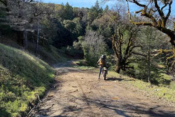 Low Gap Road