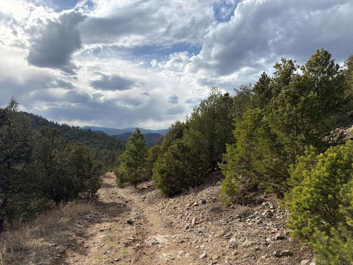 BLM 6170A photo 3