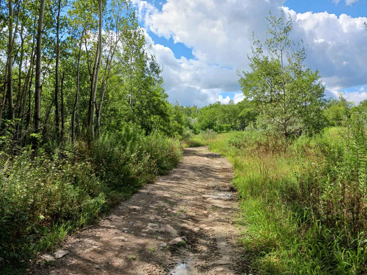 Valley View - Rock Run Recreation Area photo 3