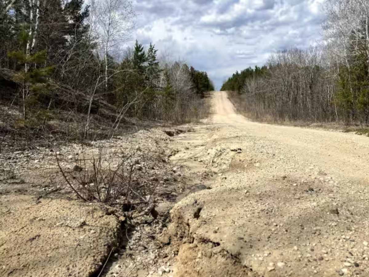 Sandilands Forestry Road 31 photo 2
