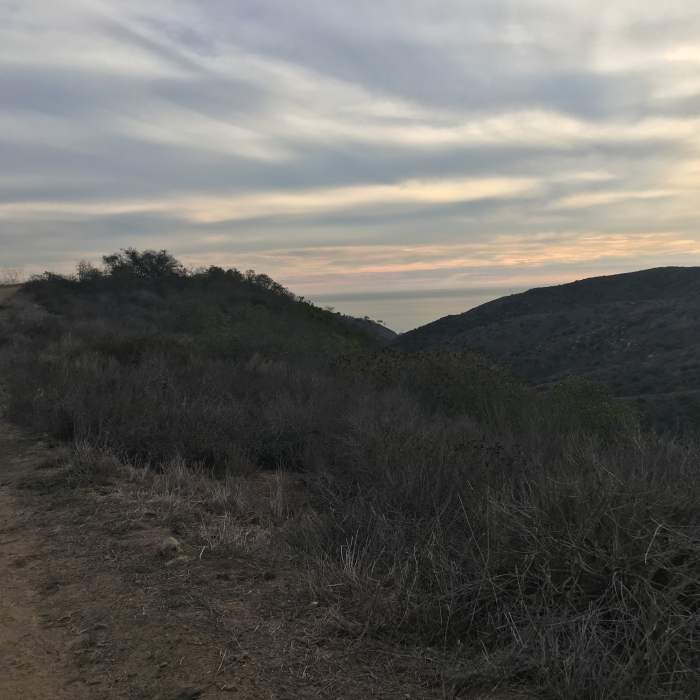 Near Big Bend Trail