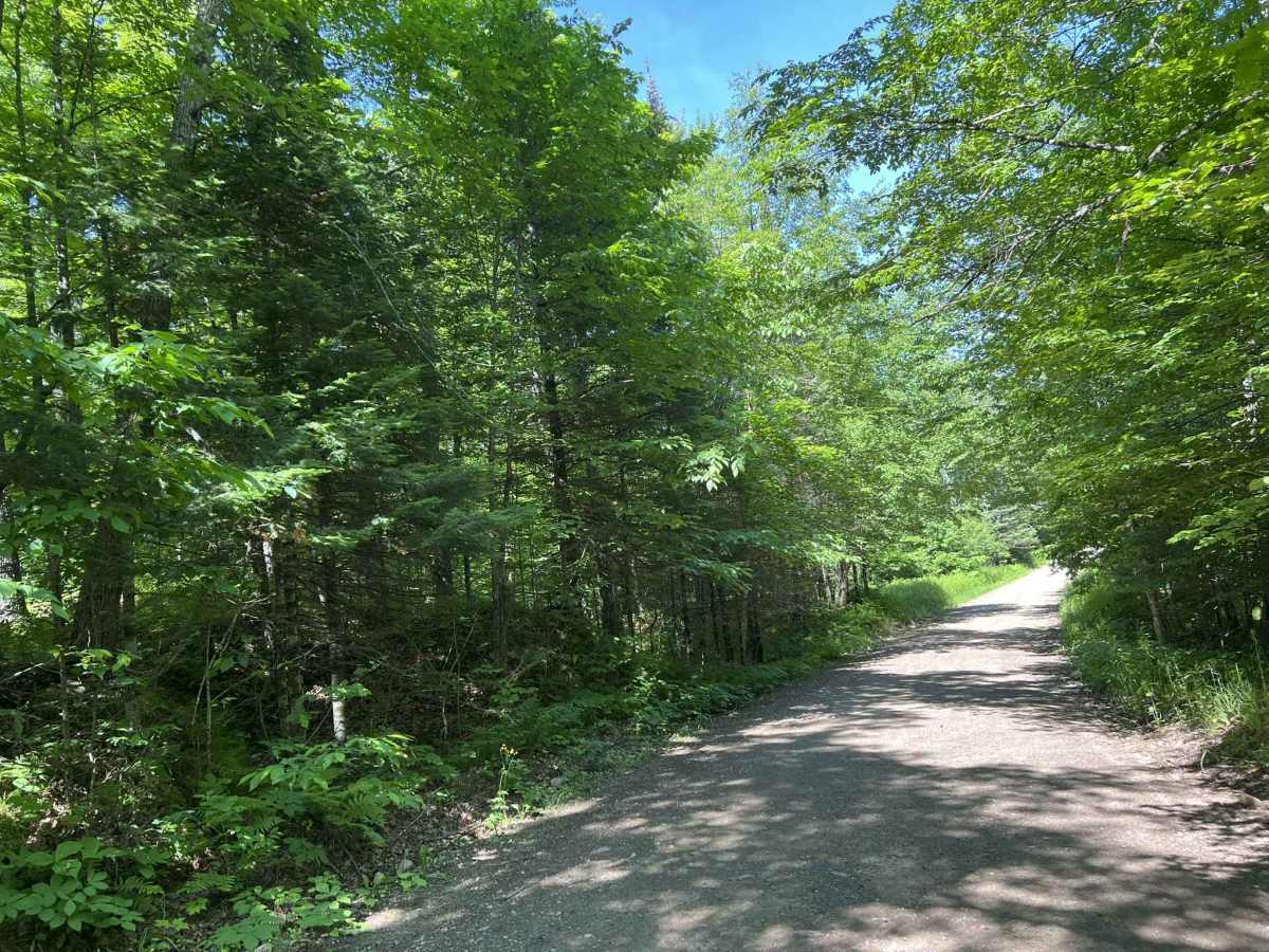 Browns Road - FS 2132 photo 4