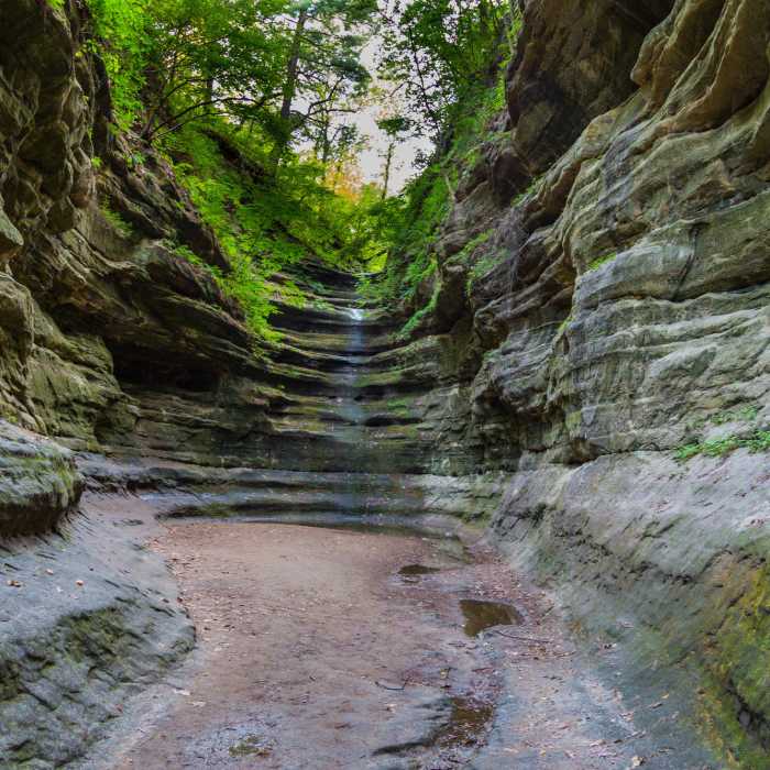 Near Starved Rock Loop