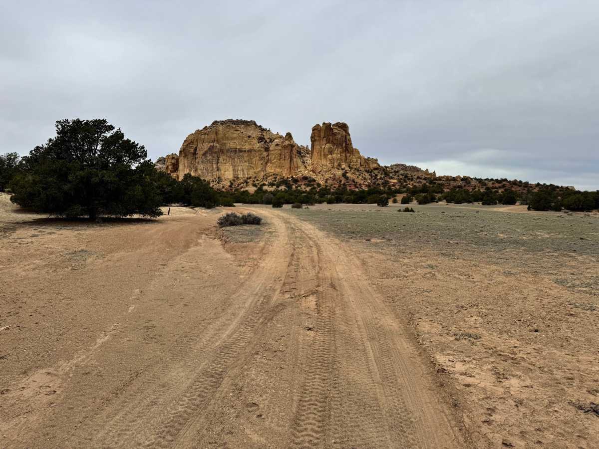 Tree Line Loop photo 5