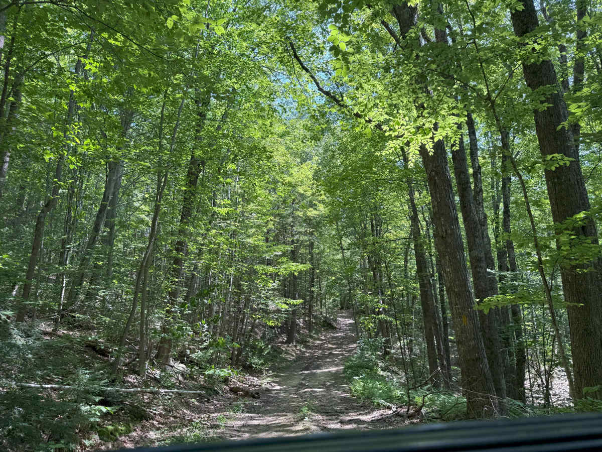 Thompson Road photo 6