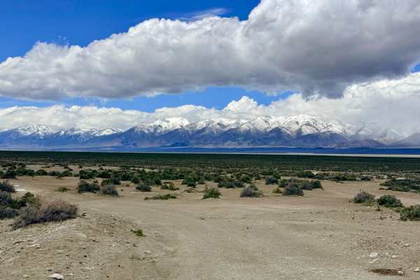Hot Springs Rd BLM206A