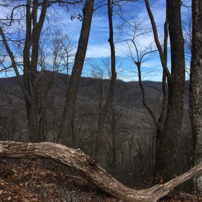 View from Bennett Gap/Coontree Loop Trail. Near Coontree Loop