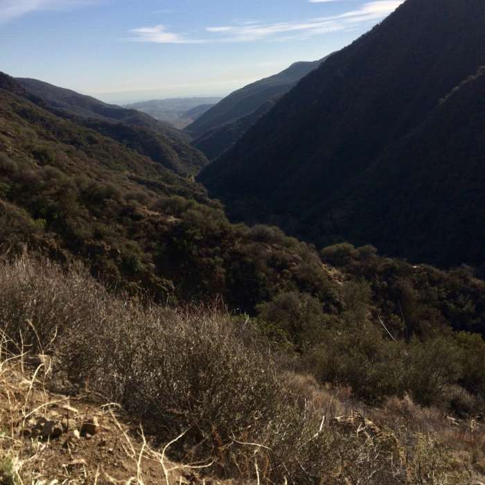 Near Zuma Canyon Loop