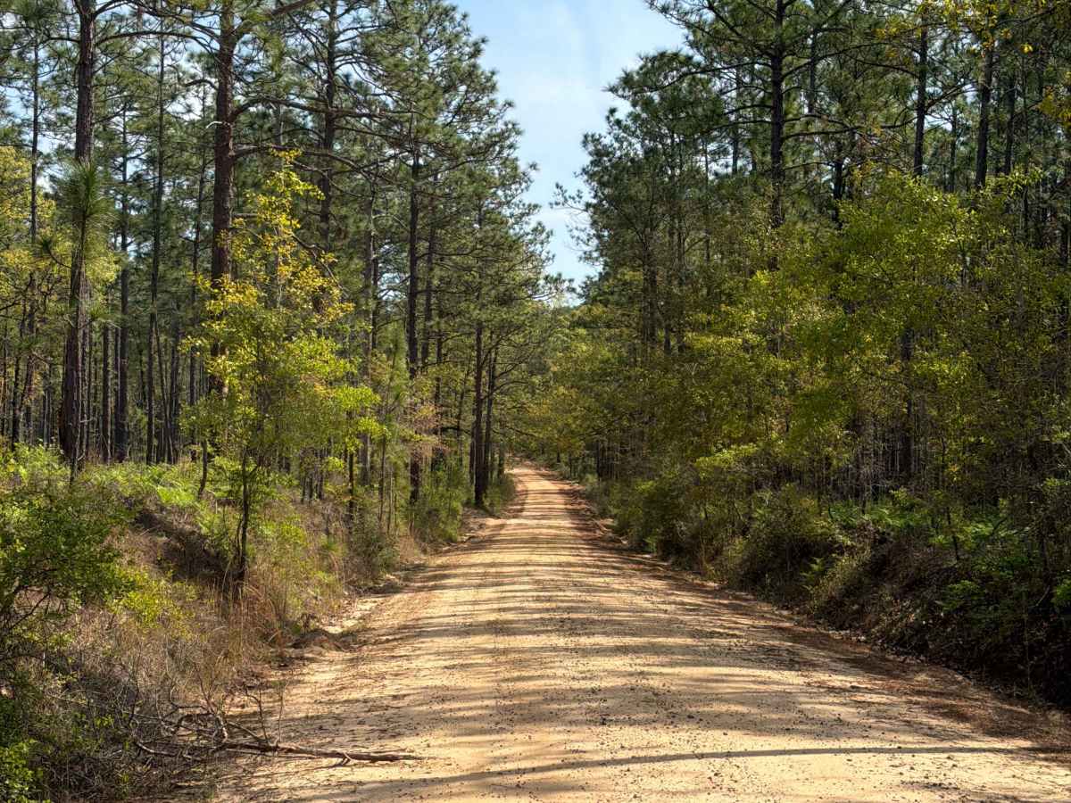 Carpenter Road photo 6