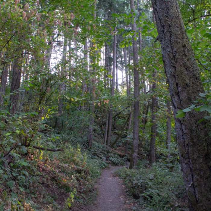 Near Ridgeline Trail System: Blanton Trailhead