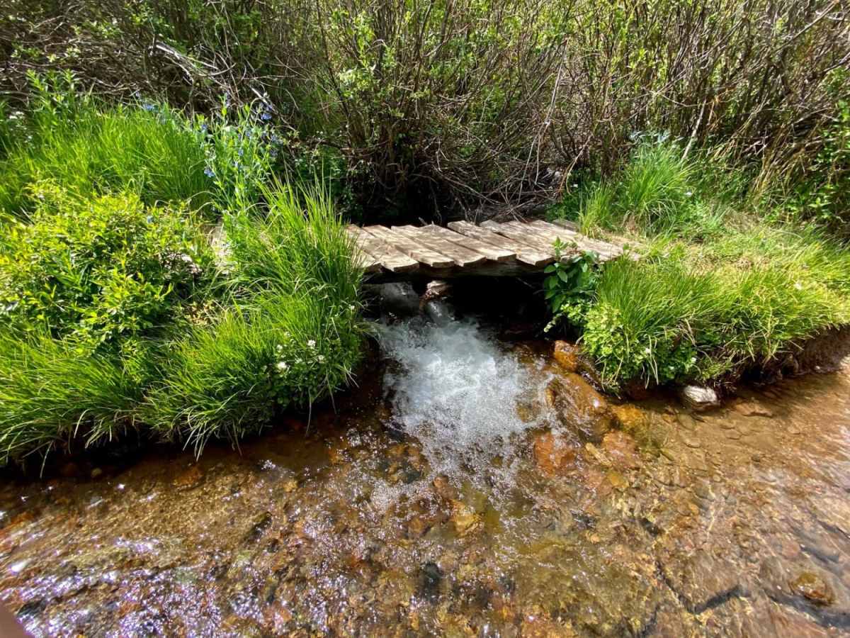 NF 502-1 Phoenix Park Waterfall photo 5