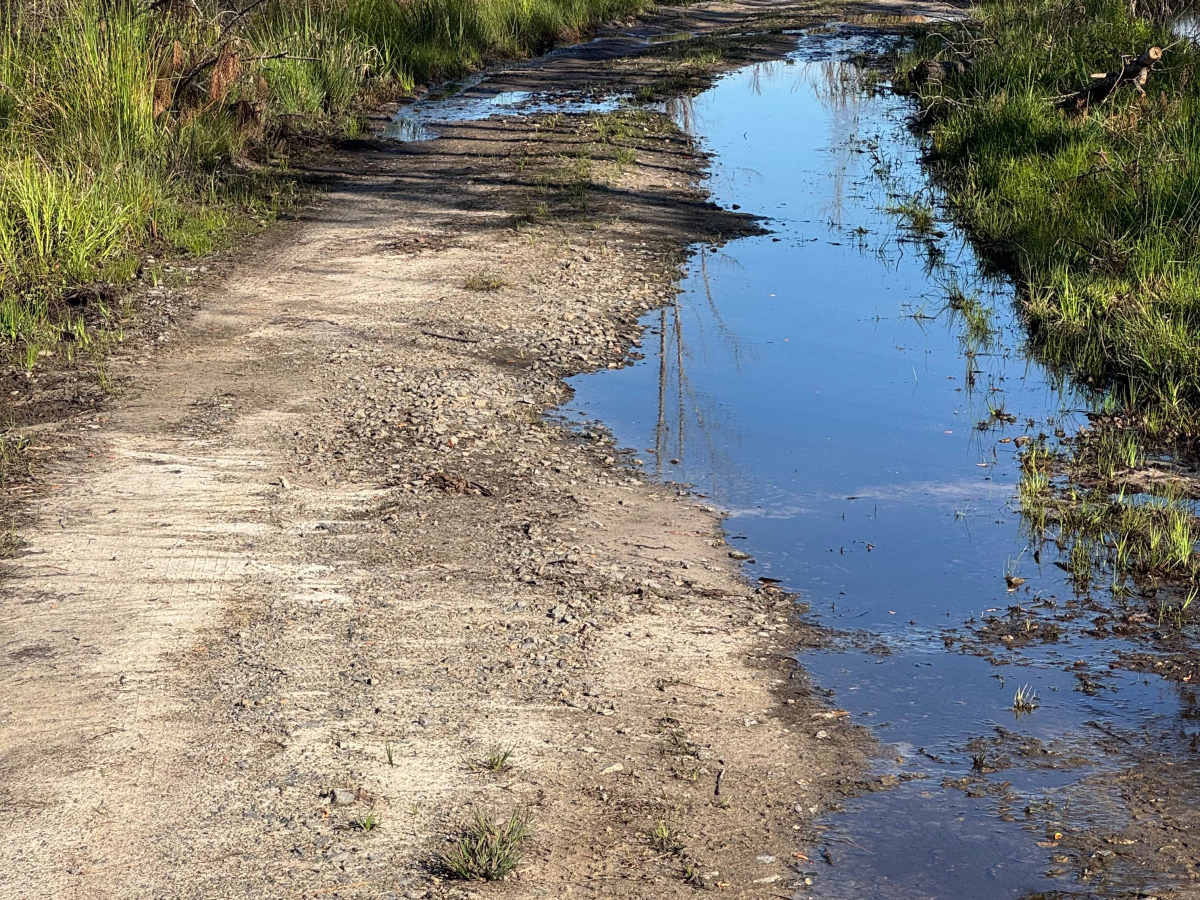Strut Road photo 3