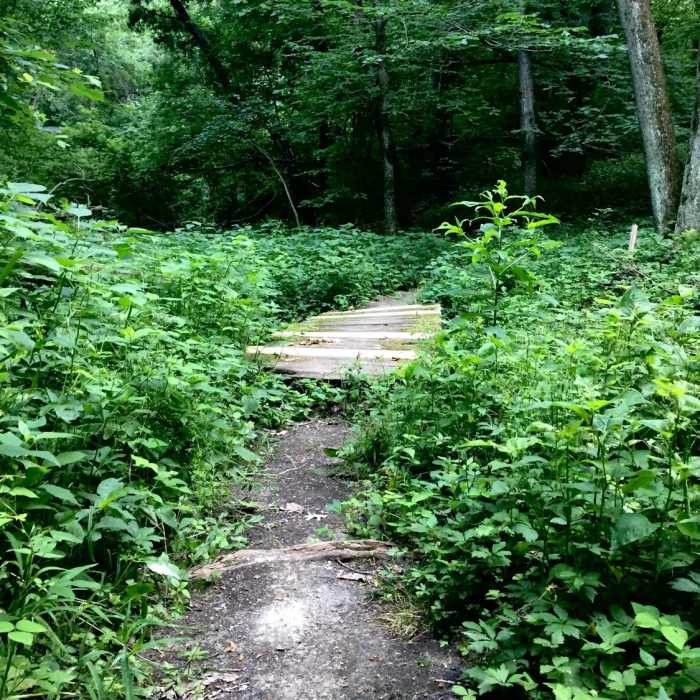 Footbridge over a creek in Hawk Ravine. Near Prairie View Nature Trail