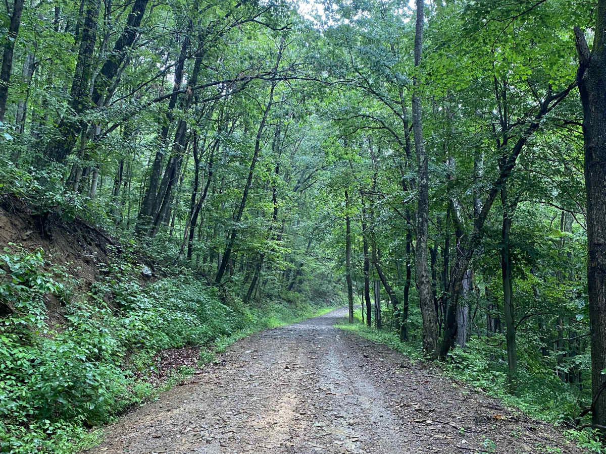 Snake Road photo 2