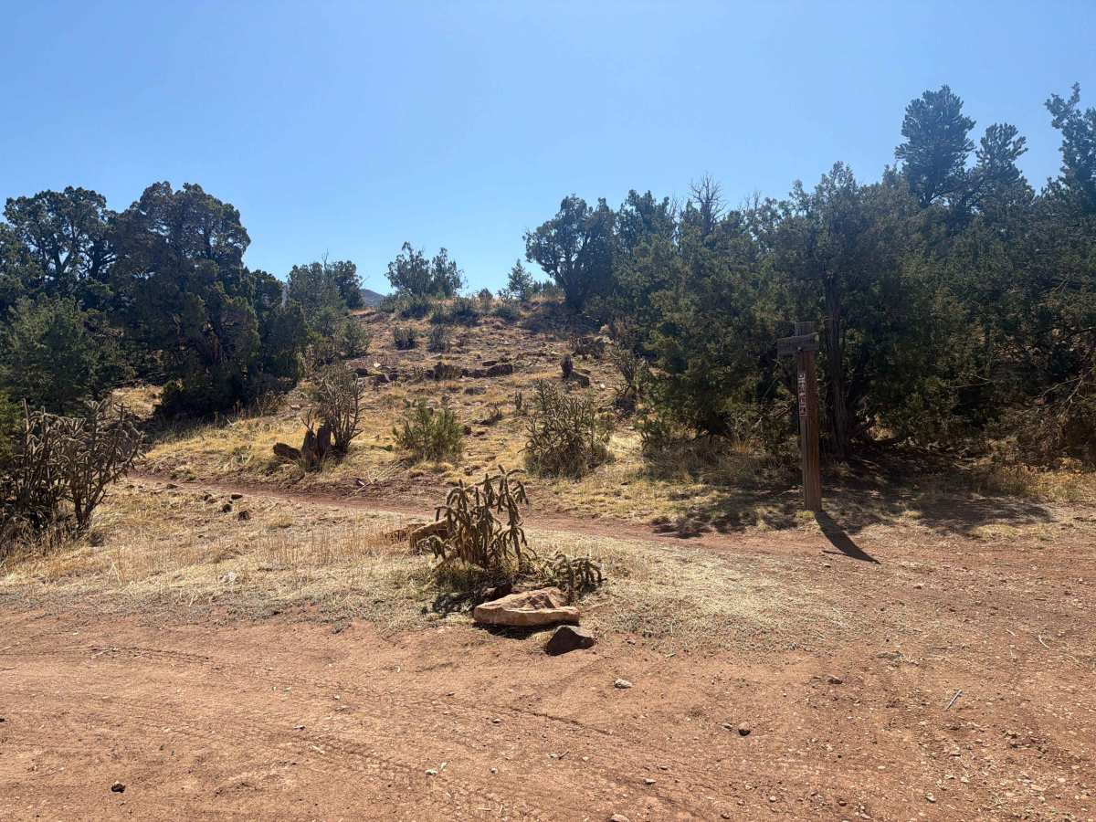BLM 5941A photo 6