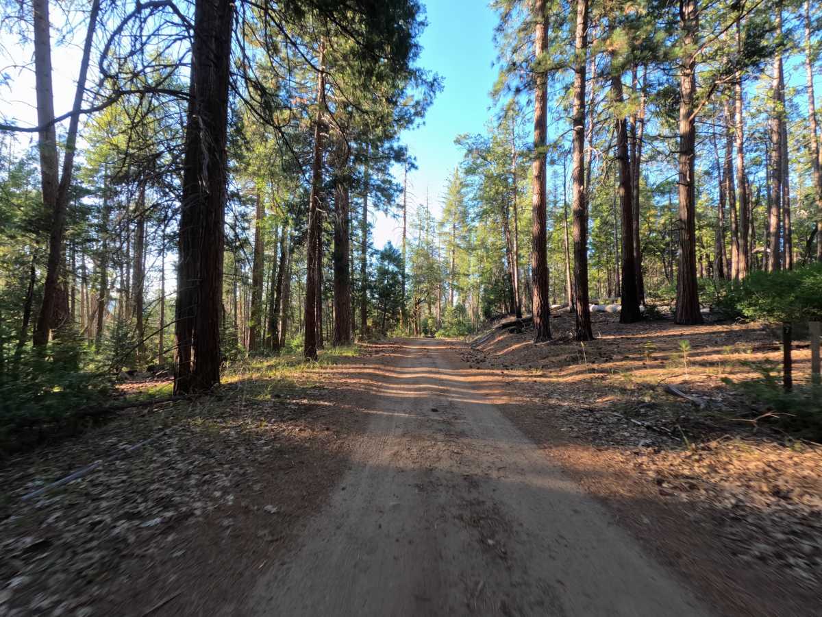 1S32 trail photo
