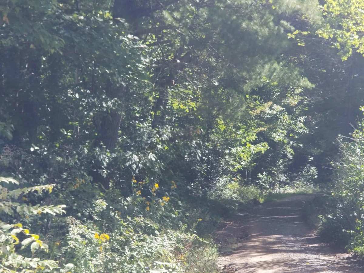 McQueen's Gap photo 5