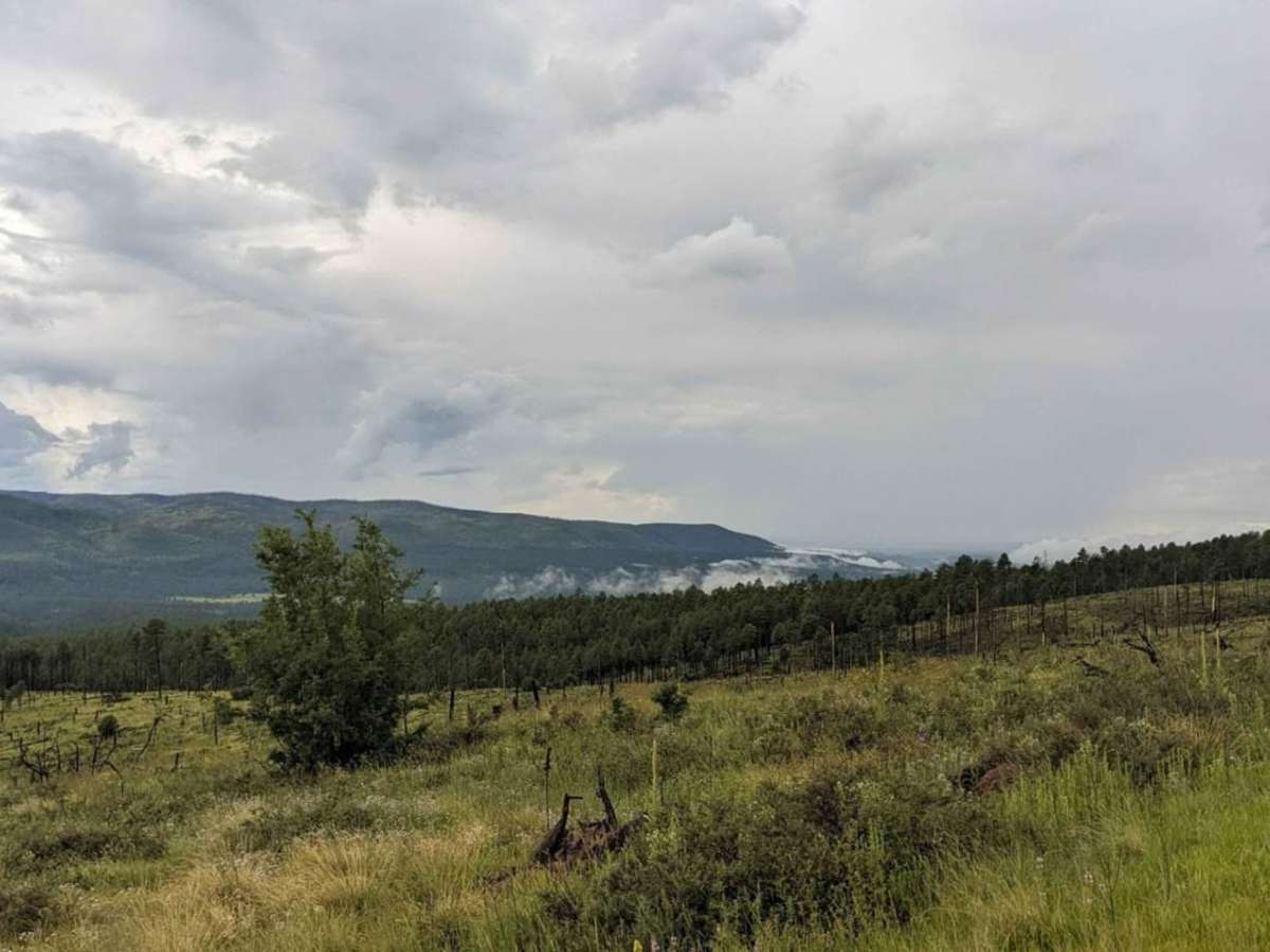 Middle Mountain Road photo 4