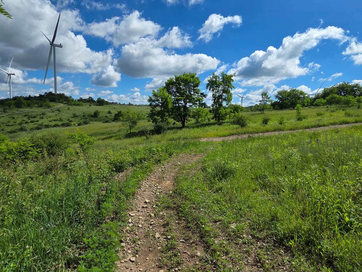 Single Track J trail photo