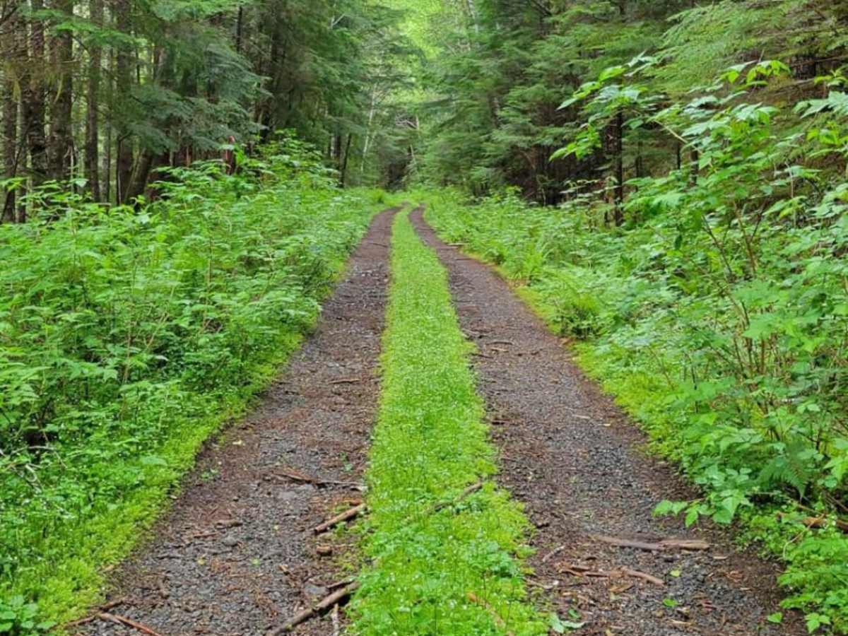 Kugel Creek trail photo
