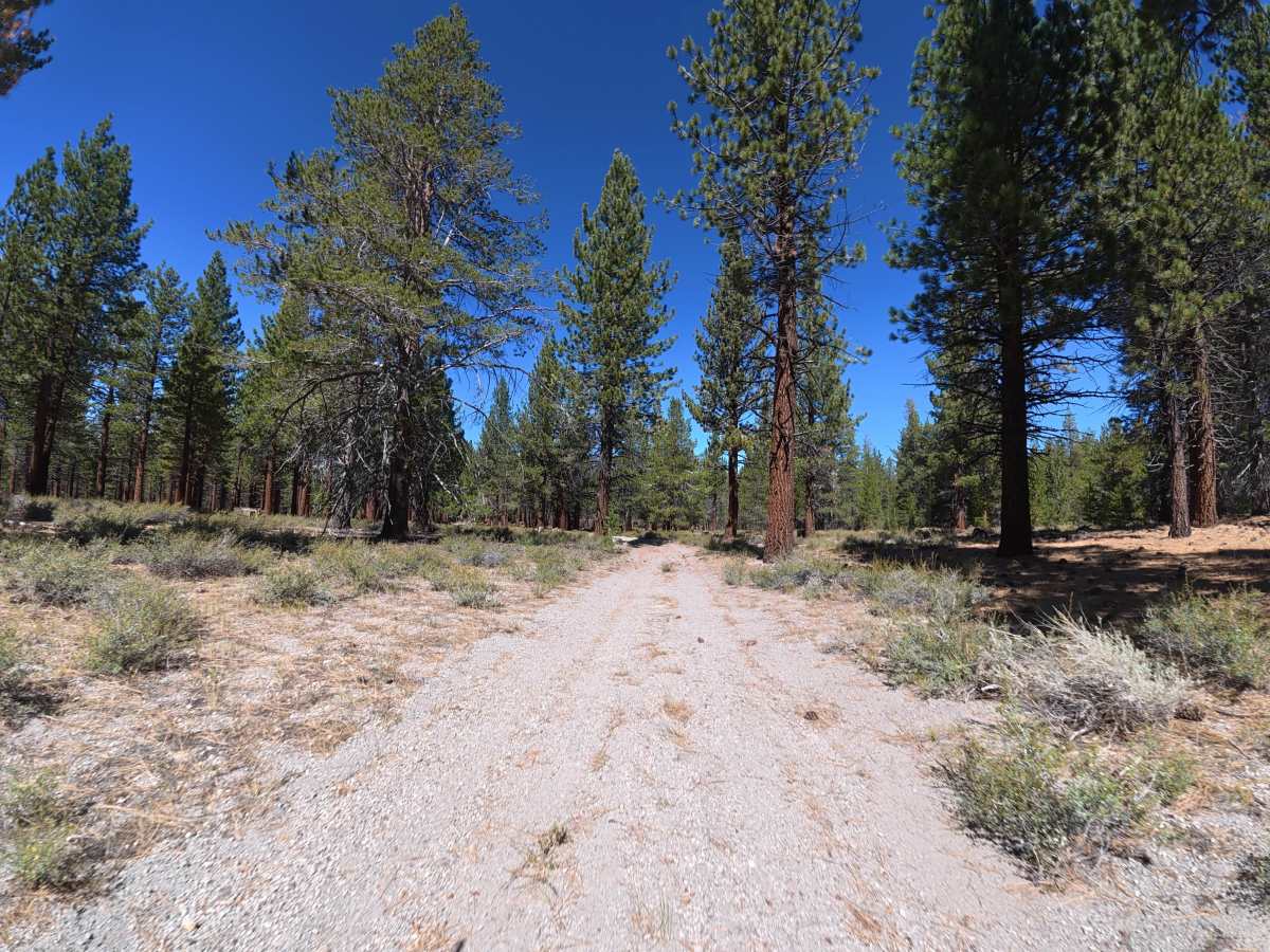 Old Rail Cutoff photo 4