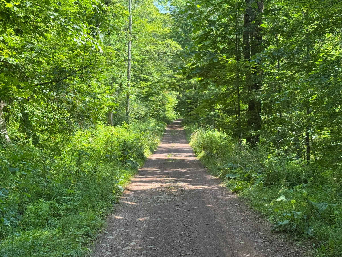 Bluebird Road photo 3