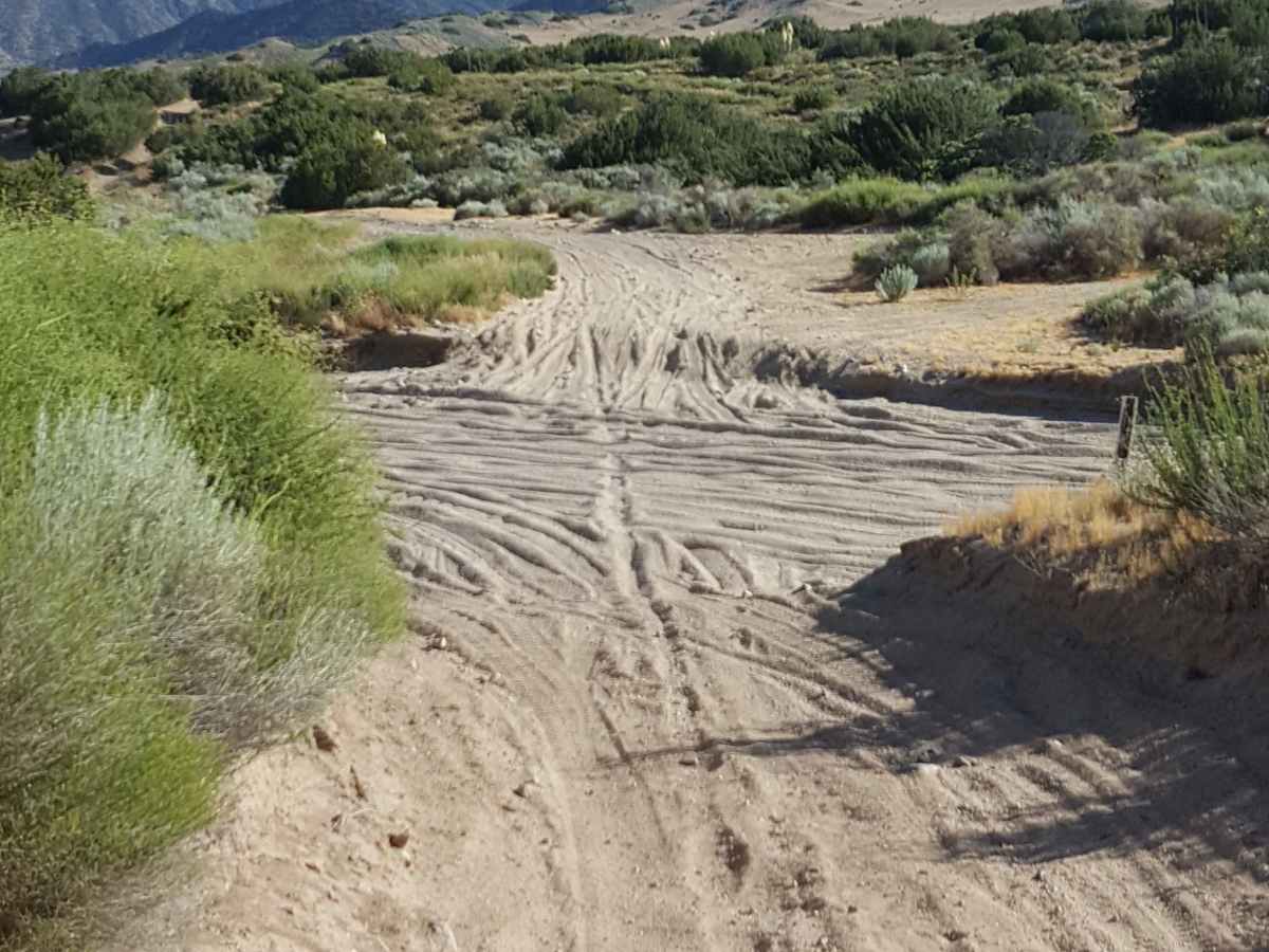 Rattler Trail photo 4
