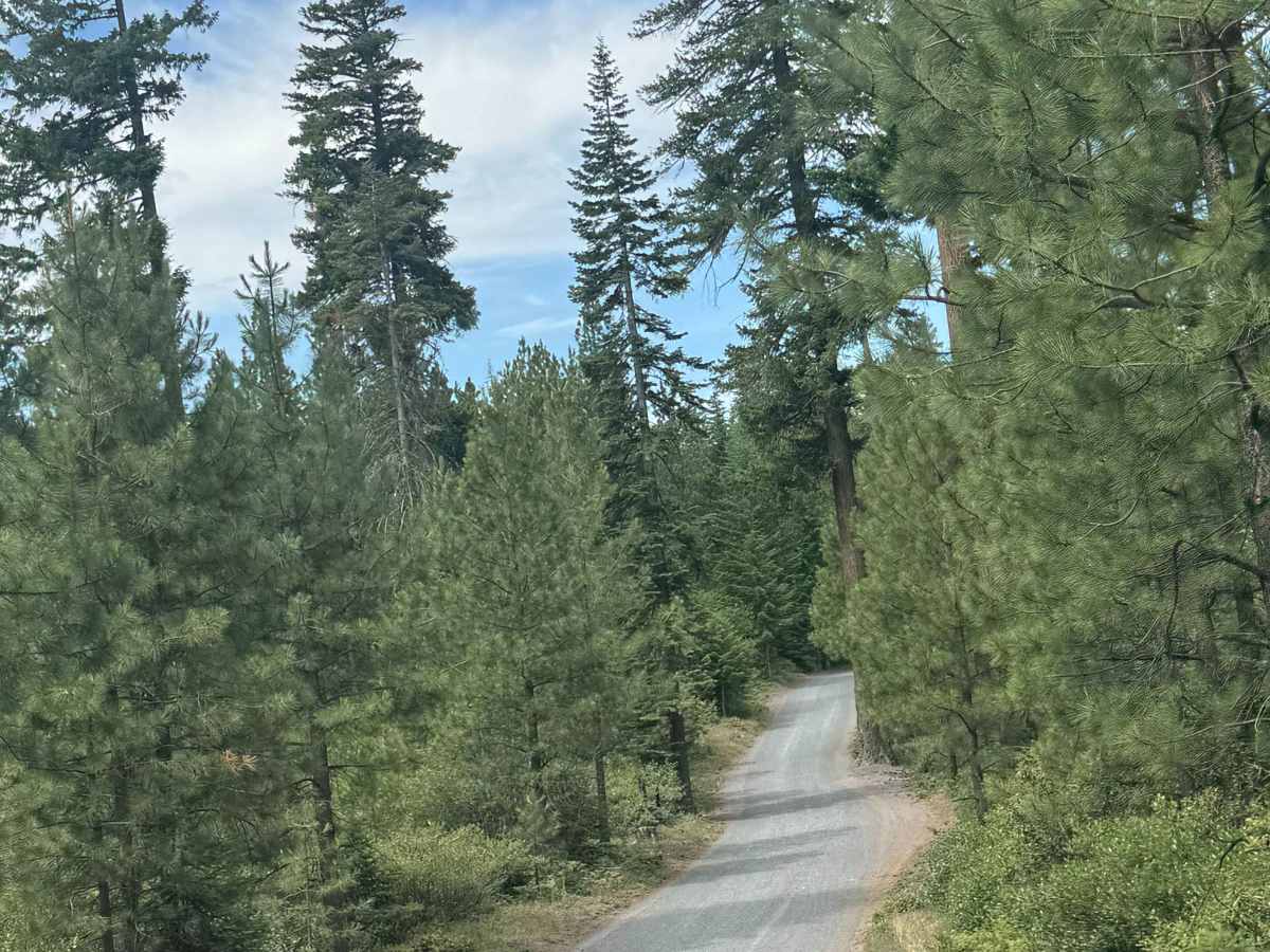 Dark Lake - FS 2066-600 photo 2