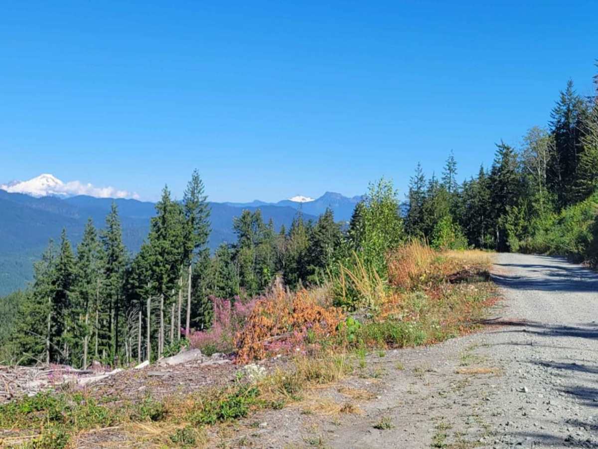 North Mountain Trail photo 4