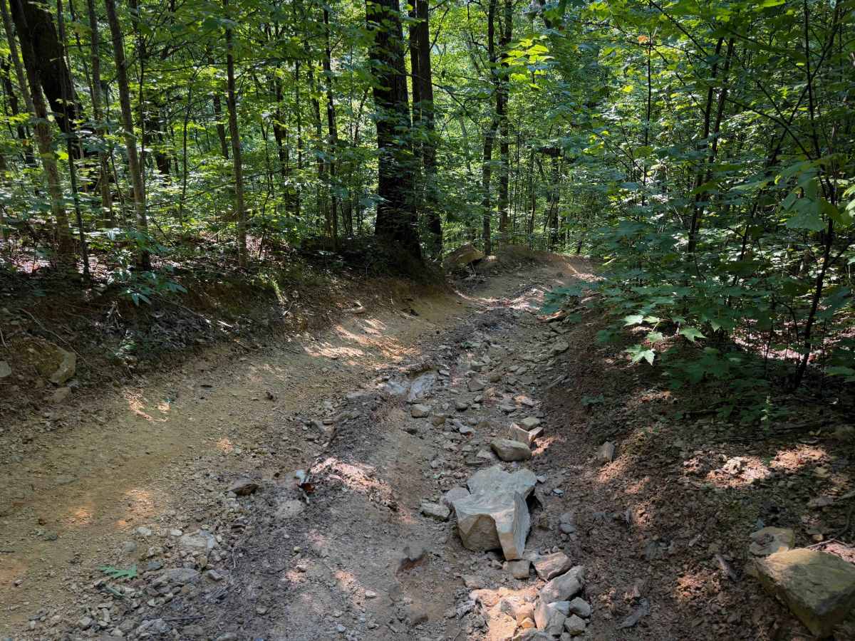 Rocky Branch Trail 23 photo 2